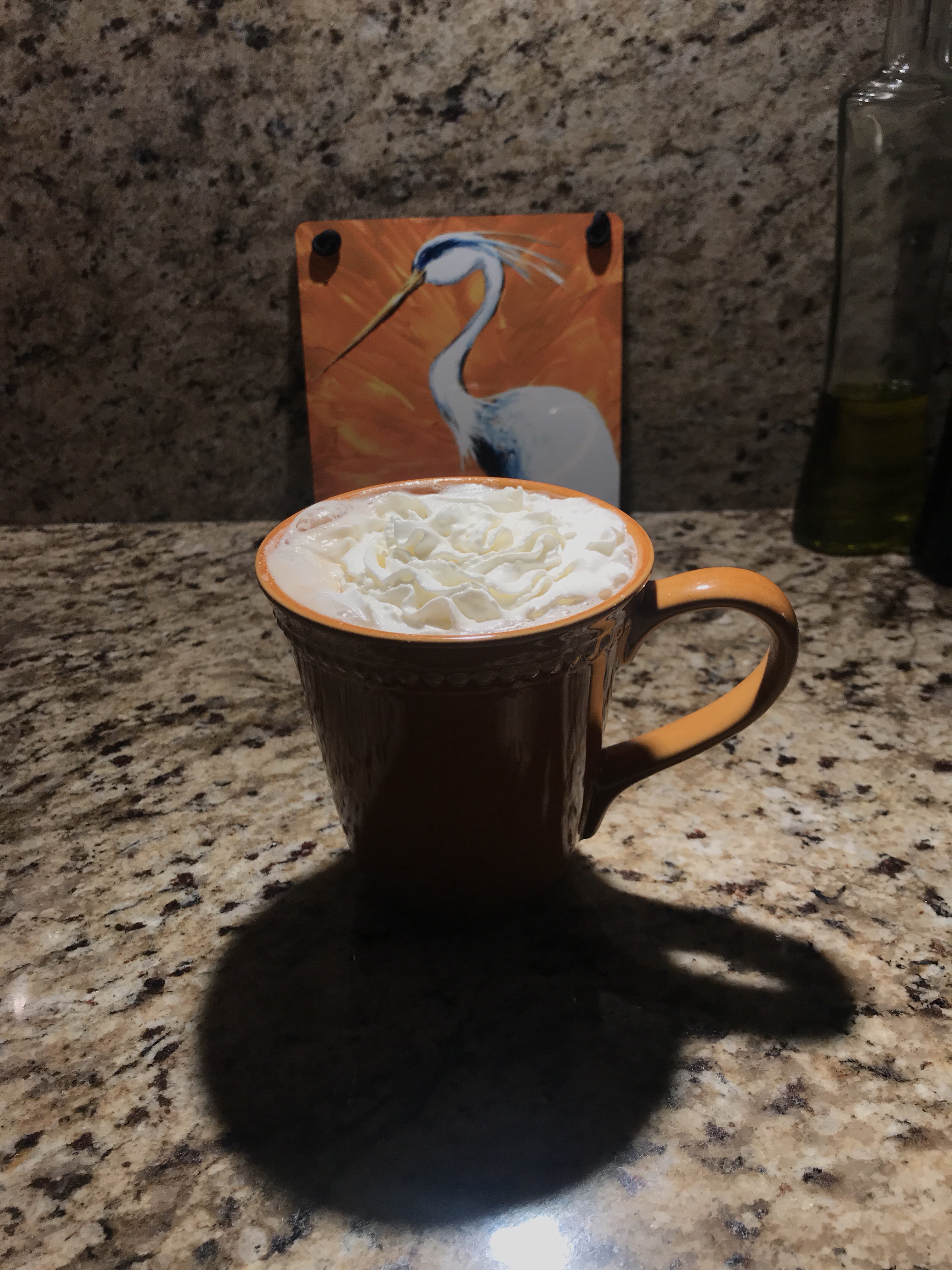 Morning Joe